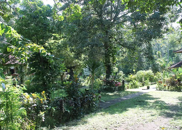 Pandan