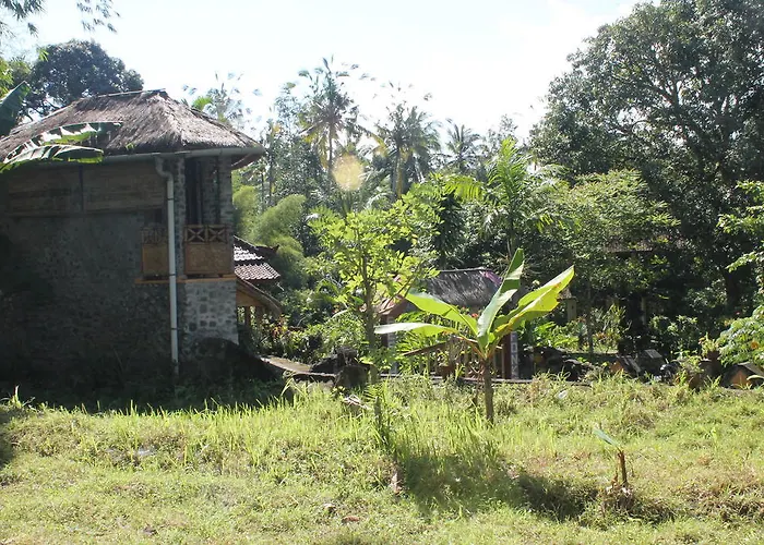 Pandan Karangasem